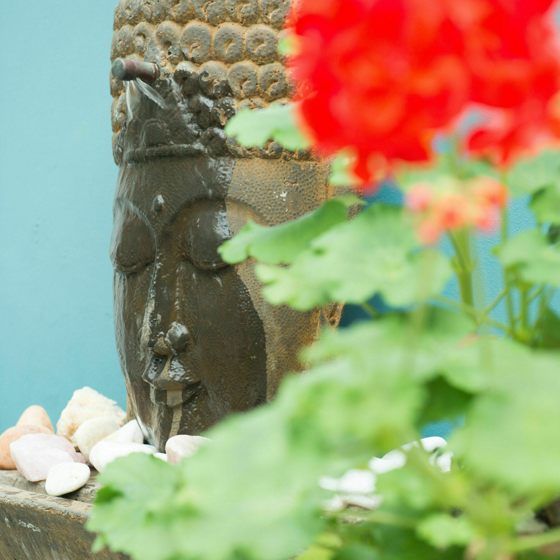 Avatara Bed & Breakfast ケープタウン エクステリア 写真